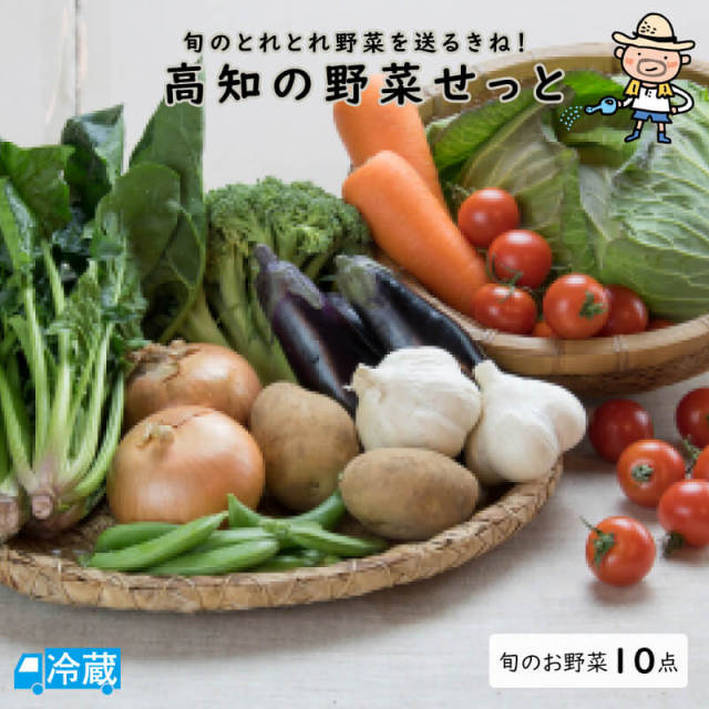 高知の野菜せっとトレトレ10点盛